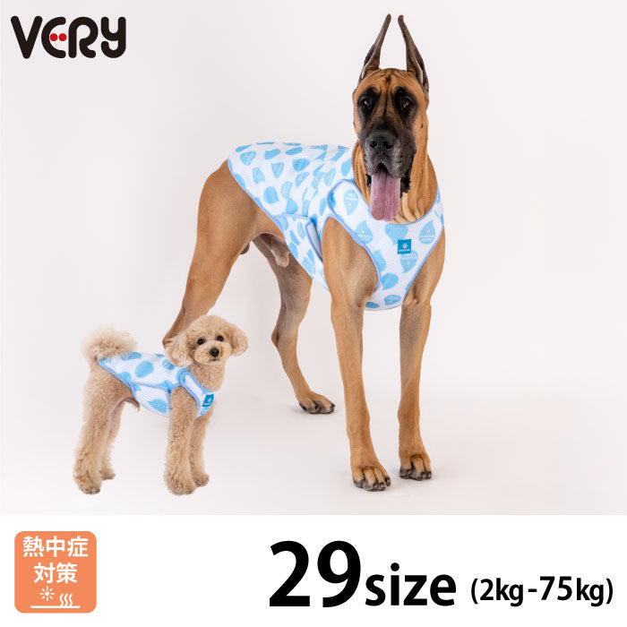 D4号サイズ タンクトップ・半袖Tシャツ |【VERY】小型～超大型犬まで