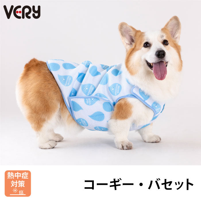wcwcg_1080x.jpg?v=1773217804