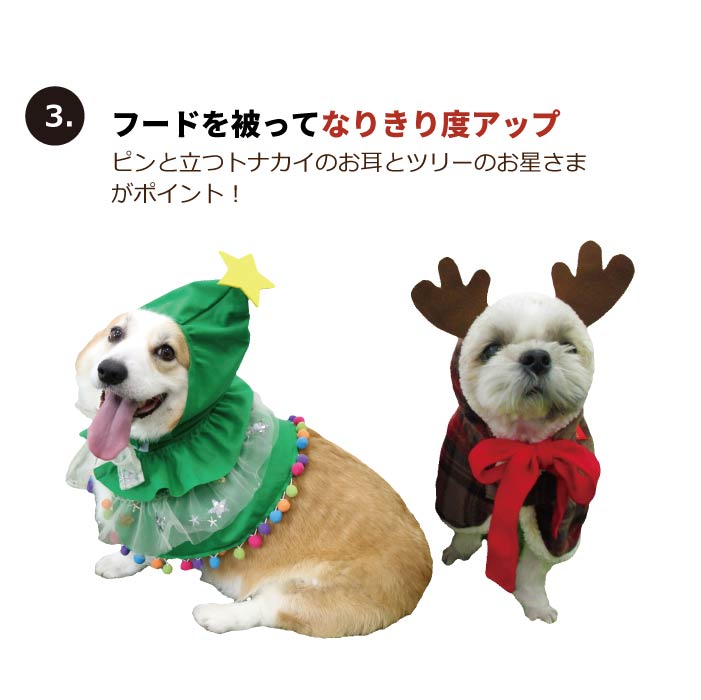 <font size="3">小型犬</font> <br>クリスマスコスチューム プレゼントセット