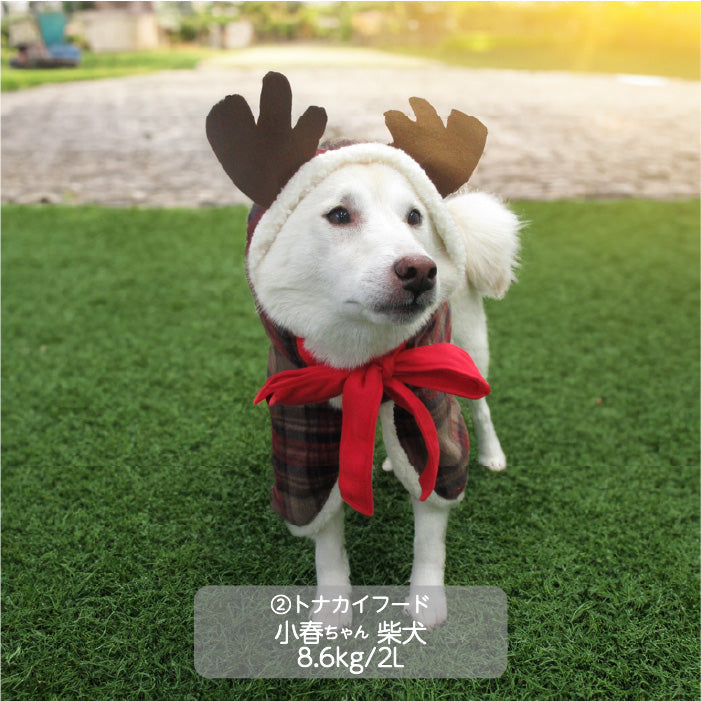 <font size="3">大型犬</font> <br>クリスマスコスチューム トナカイフード