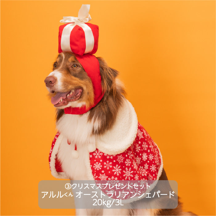 <font size="3">小型犬</font> <br>クリスマスコスチューム プレゼントセット