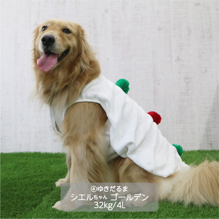 <font size="3">中型犬</font> <br>クリスマスコスチューム ゆきだるま