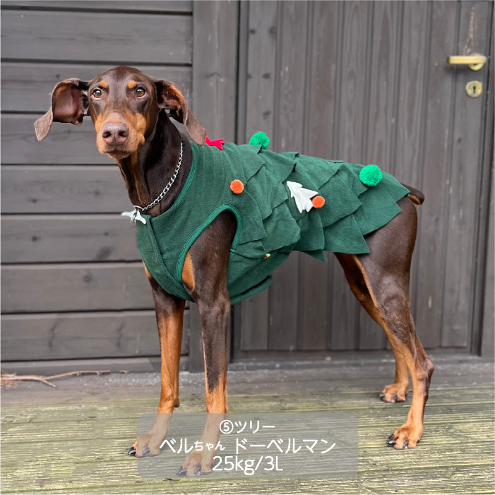 <font size="3">中型犬</font> <br>クリスマスコスチューム ツリー