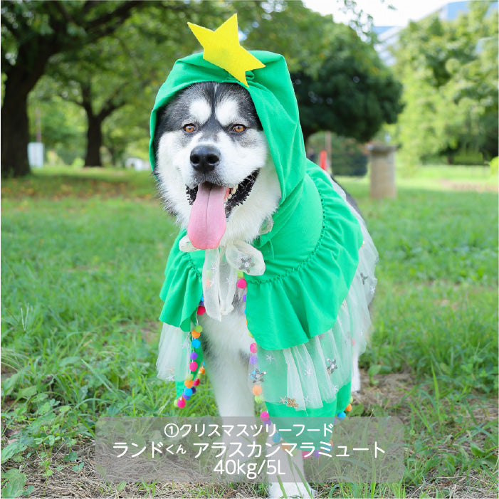 <font size="3">超大型犬</font> <br>クリスマスコスチューム ツリーフード