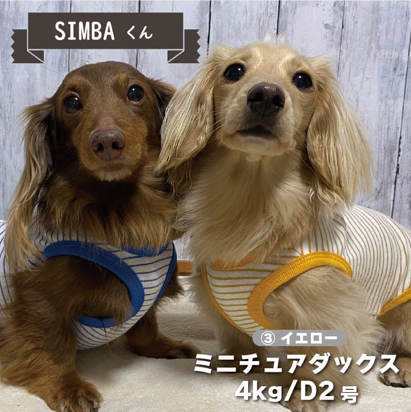 【Web限定】ボーダータンクトップ 1 小型犬 - VERY-PET