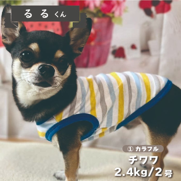 Web限定ボーダータンクトップ 1 - VERY-PET