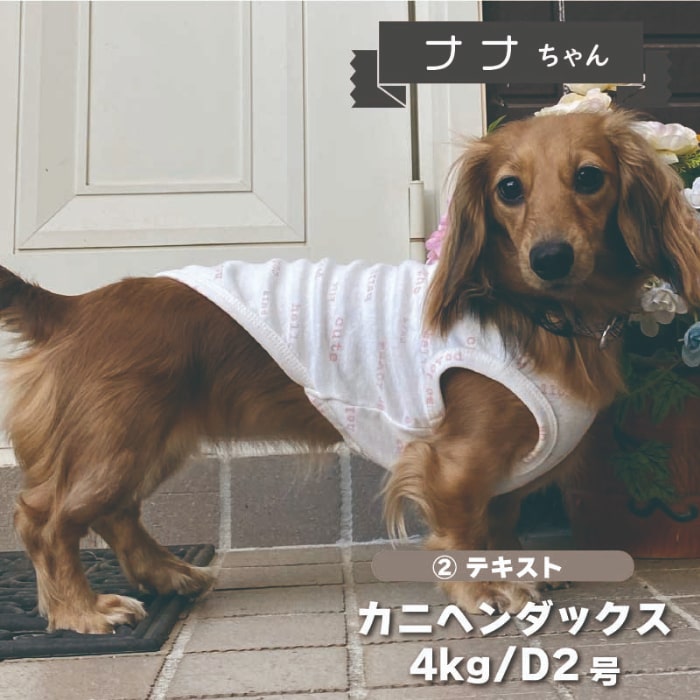 Web限定プリントタンクトップ - VERY-PET