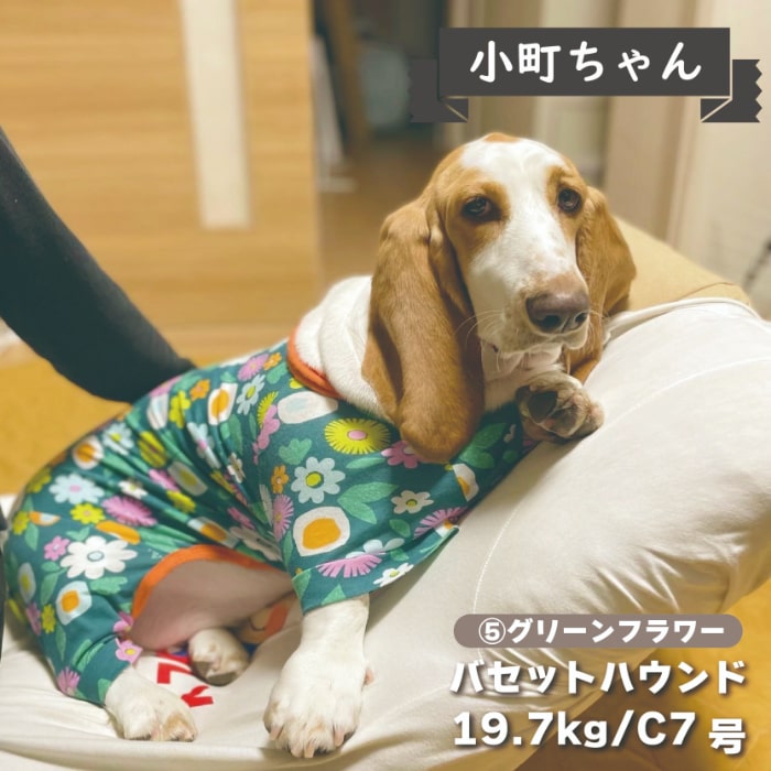 Web限定プリントカバーオール コーギー用 - VERY-PET