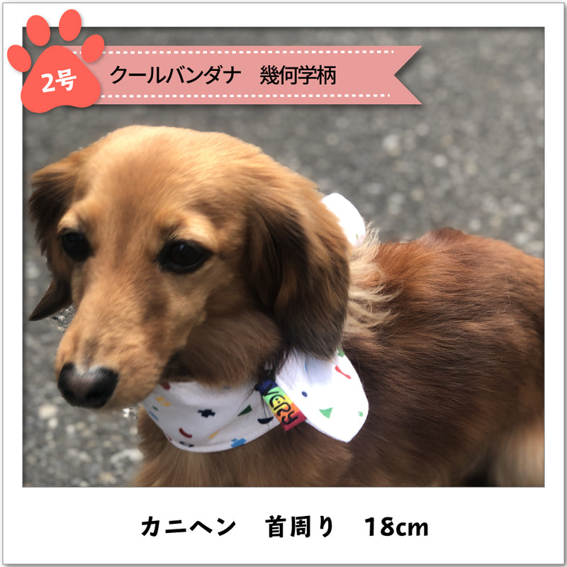 犬 服 小型犬 クールバンダナ 【VERY】 - VERY-PET