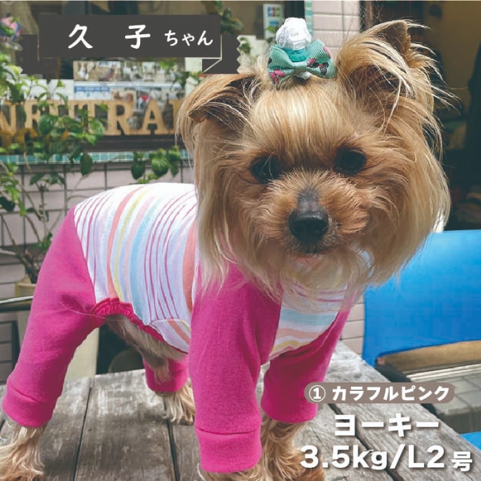 Web限定ボーダーカバーオール - VERY-PET