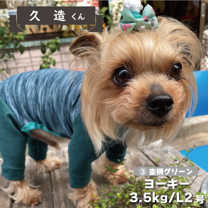 Web限定ストレッチカバーオール - VERY-PET