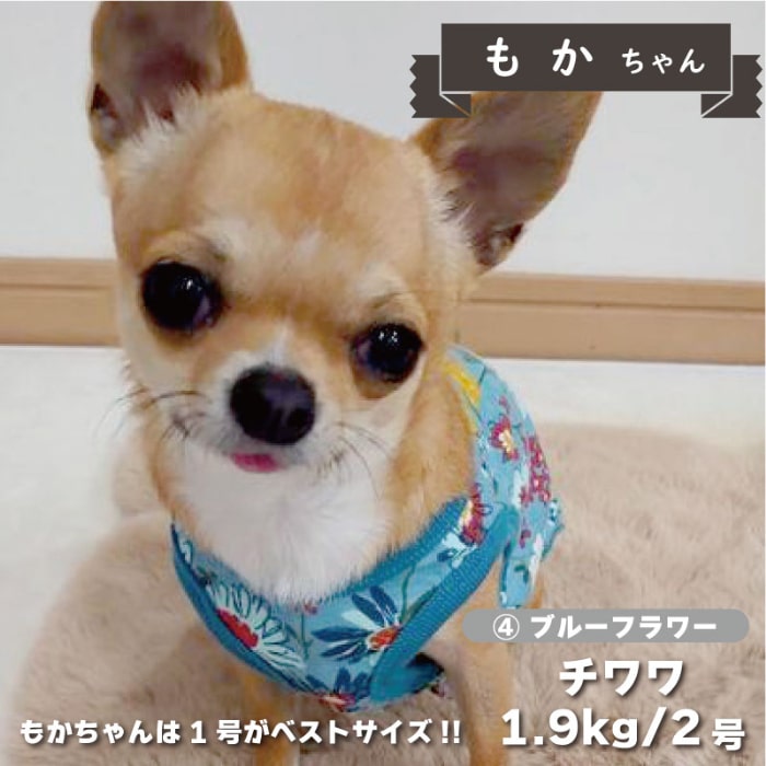 Web限定プリントタンクトップ - VERY-PET