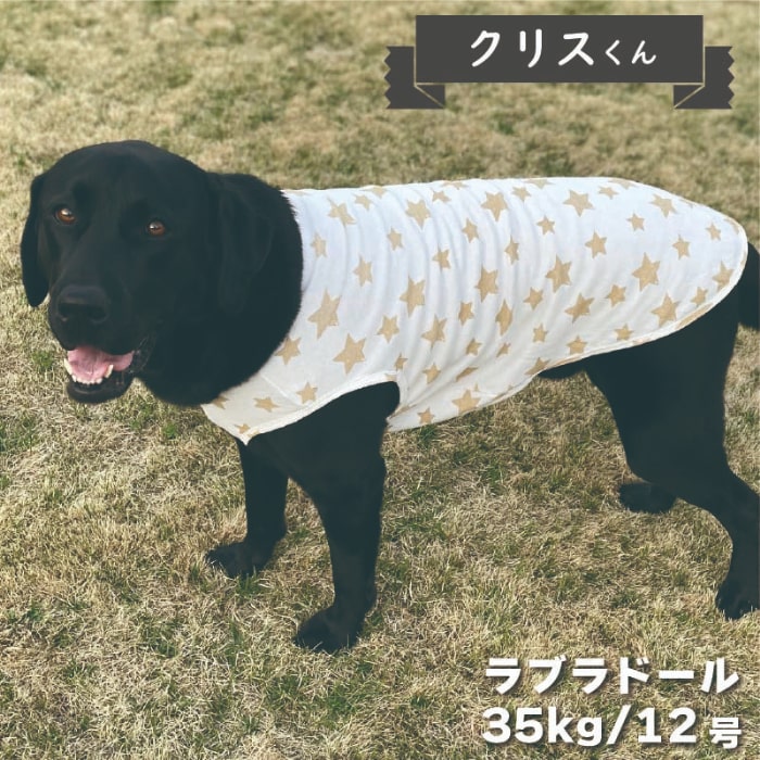 Web限定プリントタンクトップ - VERY-PET