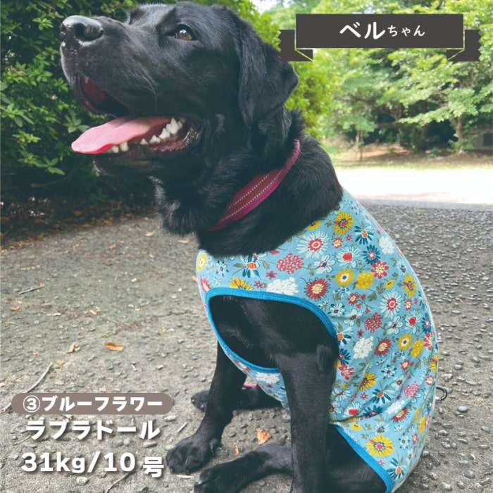 Web限定プリントタンクトップ 大型犬 - VERY-PET