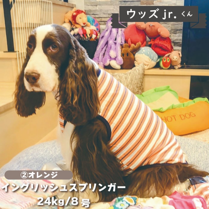 Web限定ボーダータンクトップ 2 大型犬 - VERY-PET