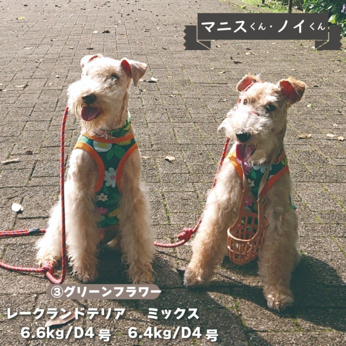 Web限定プリントタンクトップ 小型犬・ダックス用 - VERY-PET