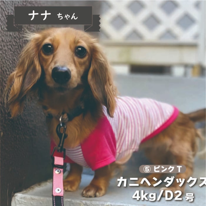 Web限定ボーダーTシャツ 2 - VERY-PET