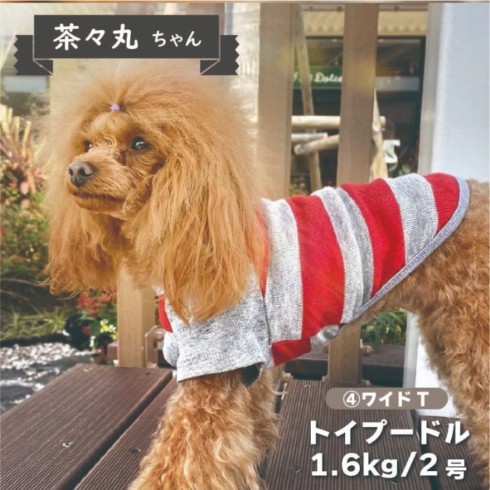 Web限定ボーダーTシャツ 2 - VERY-PET