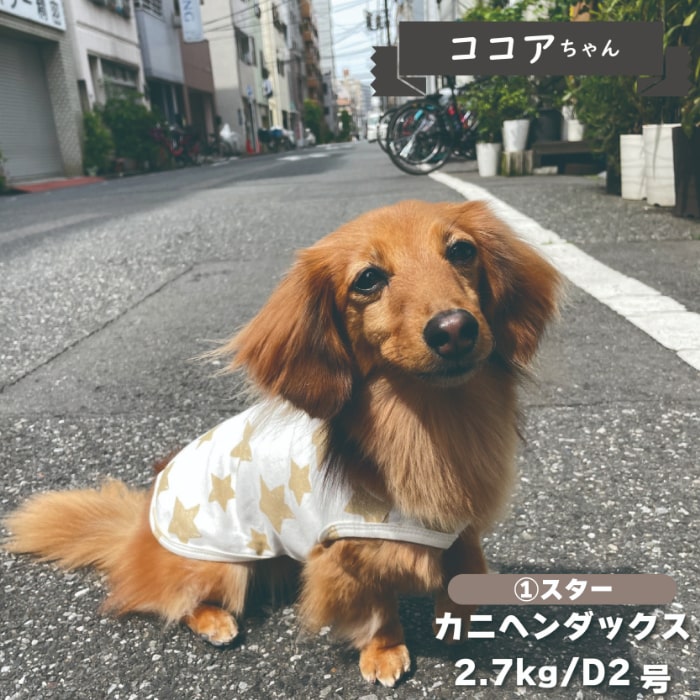 Web限定プリントタンクトップ 小型犬・ダックス用 - VERY-PET