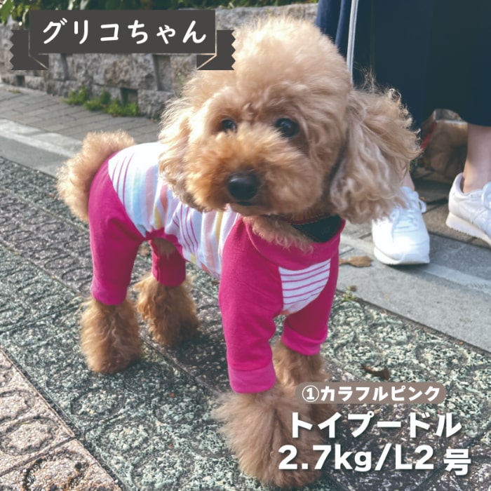 Web限定ボーダーカバーオール 小型犬 - VERY-PET