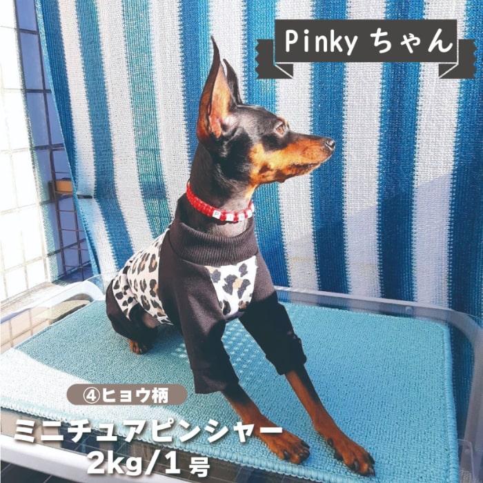 Web限定プリントカバーオール 小型犬用 - VERY-PET