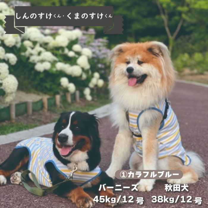 Web限定ボーダータンクトップ 1 大型犬 - VERY-PET