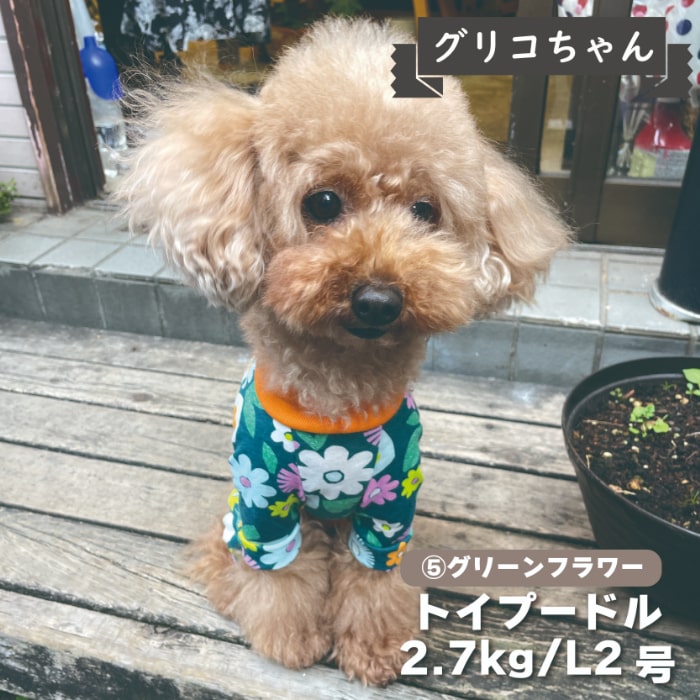 Web限定プリントカバーオール 小型犬用 - VERY-PET