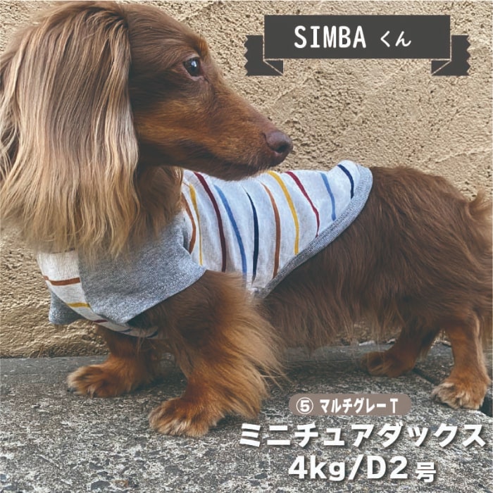 Web限定ボーダーTシャツ 1 - VERY-PET