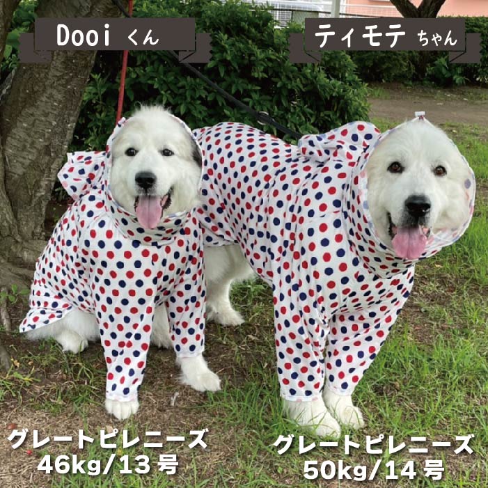 ドッグデプト超大型犬レインコート 大〜超大型犬サイズ 反射板付き2wayレインコート | Le Ciel
