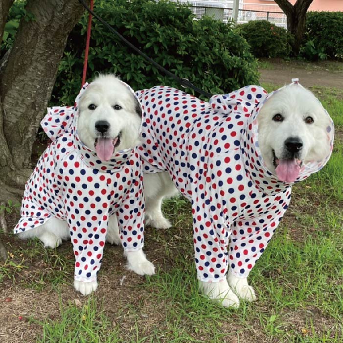 バーディ (BIRDIE) ドットフルカバーレインコート 2L オレンジ 4081 犬
