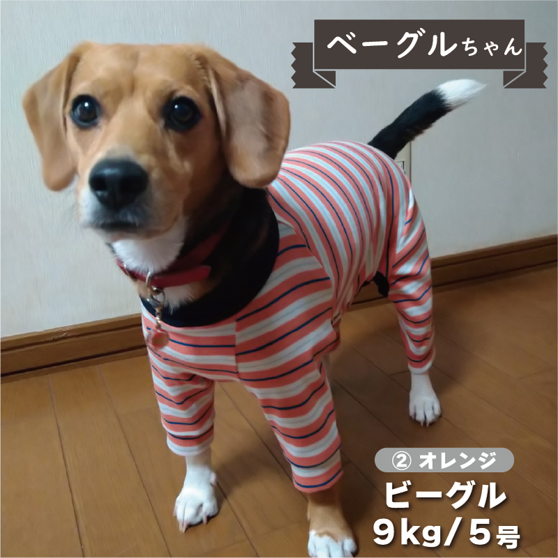 Web限定ボーダーカバーオール 小型犬 - VERY-PET