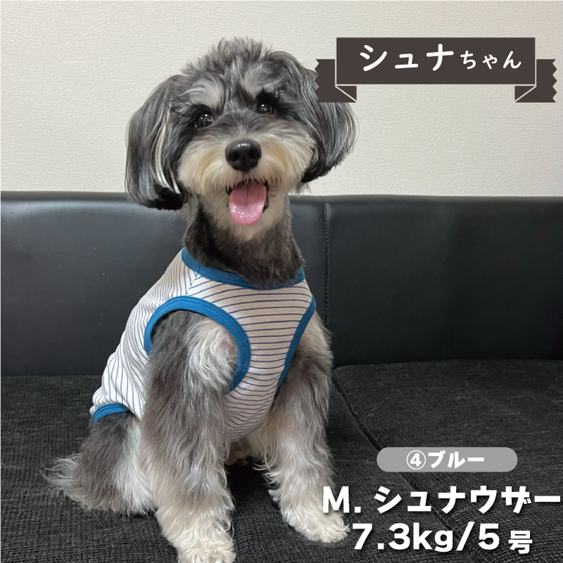 Web限定ボーダータンクトップ 1 小型犬 - VERY-PET