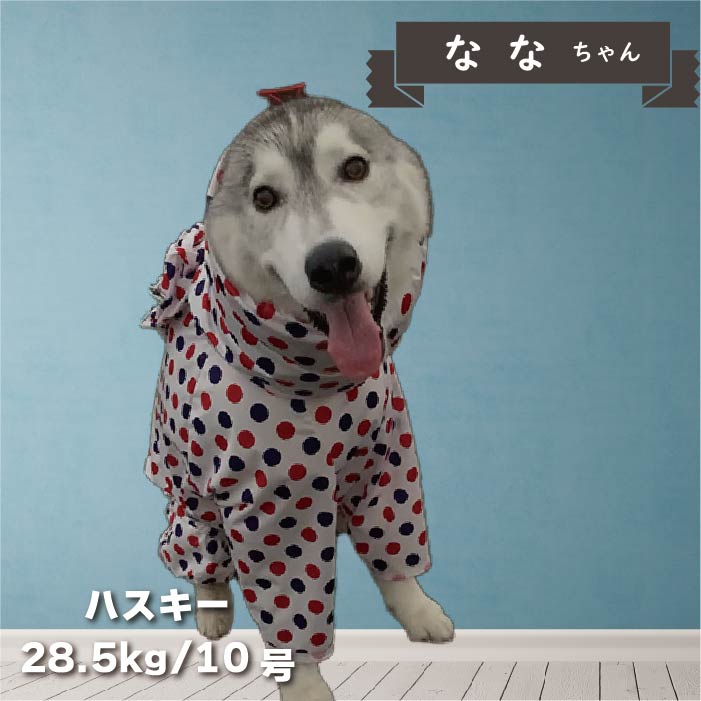 ストレッチフルカバー レインコート 4脚 大型犬 - VERY-PET