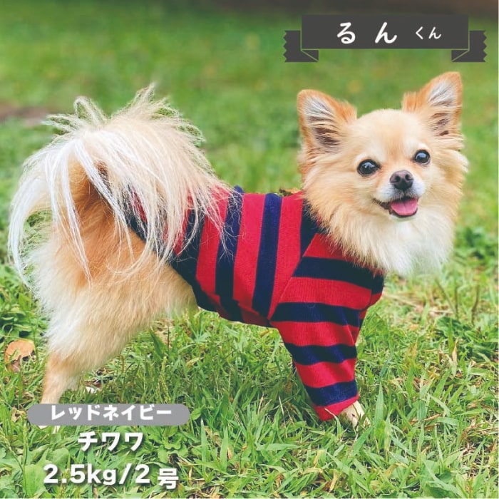 ボーダーロングTシャツ 小型犬 - VERY-PET