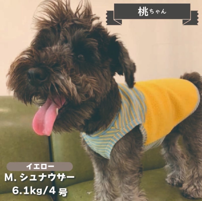 切替タンク 小型犬・ダックス用 - VERY-PET