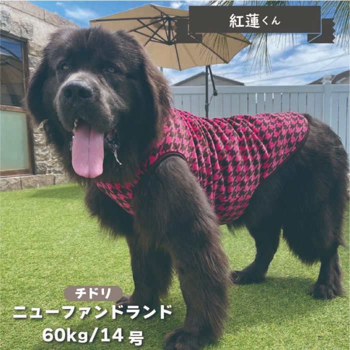 ふわさらタンク 超大型犬 - VERY-PET