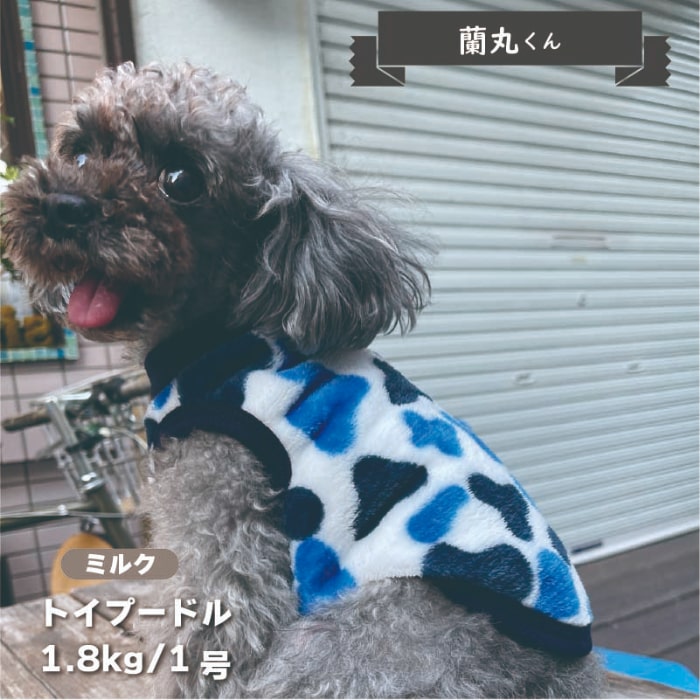 ふわさらタンク 小型犬・ダックス用 - VERY-PET