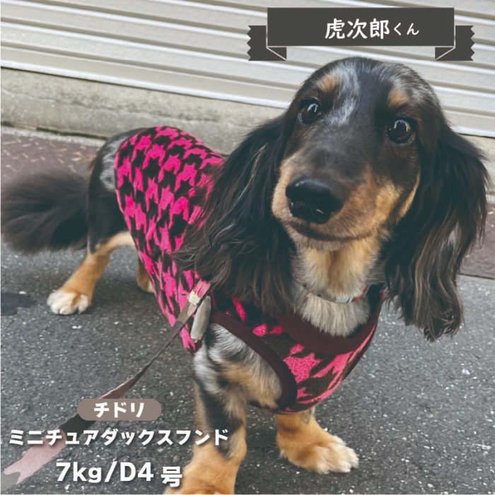 ふわさらタンク 小型犬・ダックス用 - VERY-PET