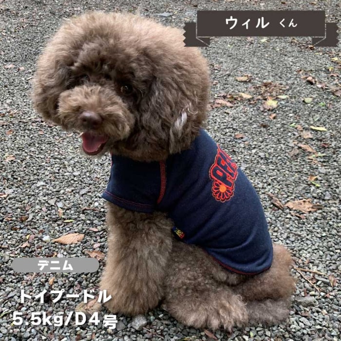 ピーストレーナー 小型犬・ダックス用 - VERY-PET