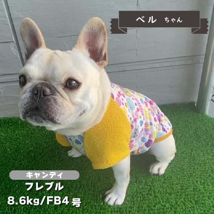 裏ボアプリントTシャツ フレブル・パグ用 - VERY-PET