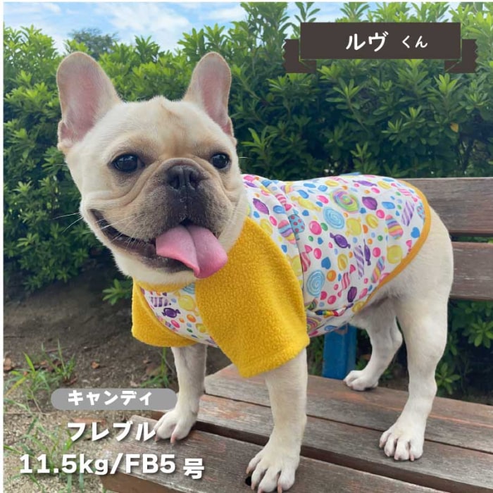 裏ボアプリントTシャツ フレブル・パグ用 - VERY-PET