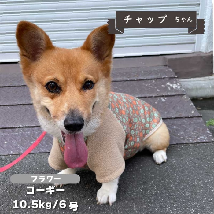 裏ボアプリントTシャツ 中型犬 - VERY-PET