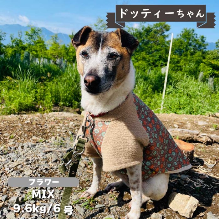 裏ボアプリントTシャツ 中型犬 - VERY-PET