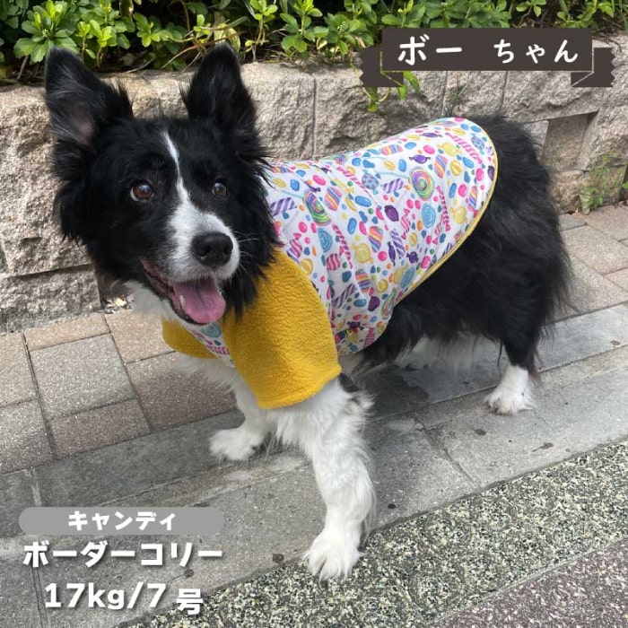 裏ボアプリントTシャツ 中型犬 - VERY-PET