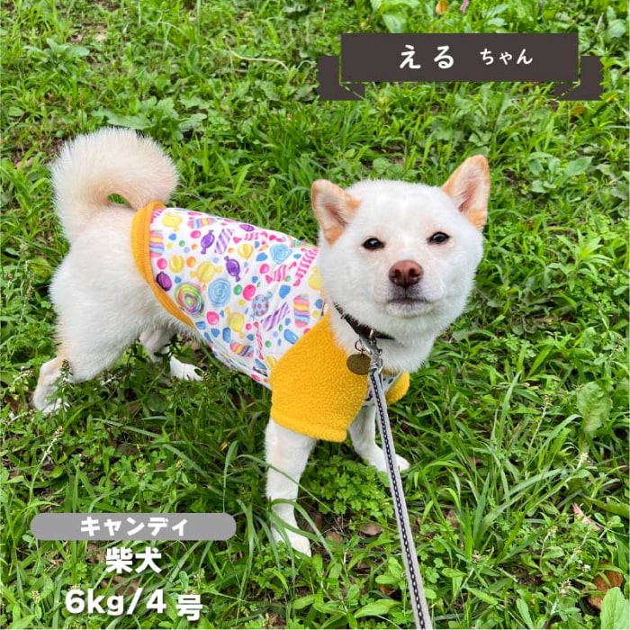 裏ボアプリントTシャツ 小型犬・ダックス用 - VERY-PET