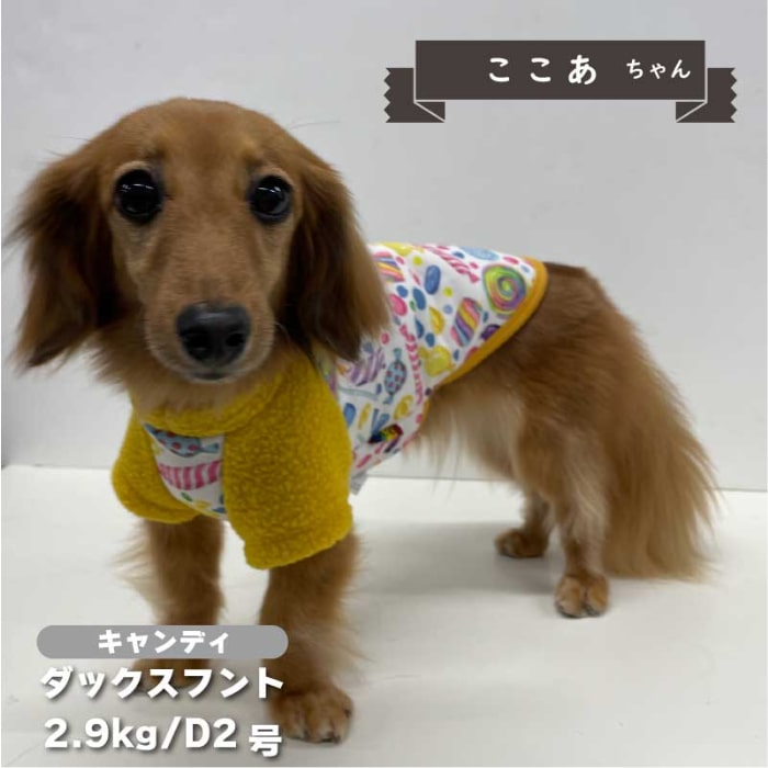 裏ボアプリントTシャツ 小型犬・ダックス用 - VERY-PET