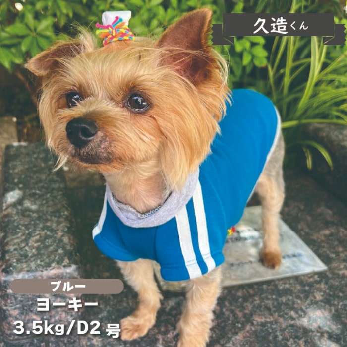 ジャージ風裏ボアTシャツ 小型犬・ダックス用 - VERY-PET