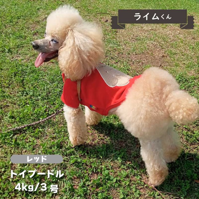 ワッペンTシャツ 小型犬・ダックス用 - VERY-PET