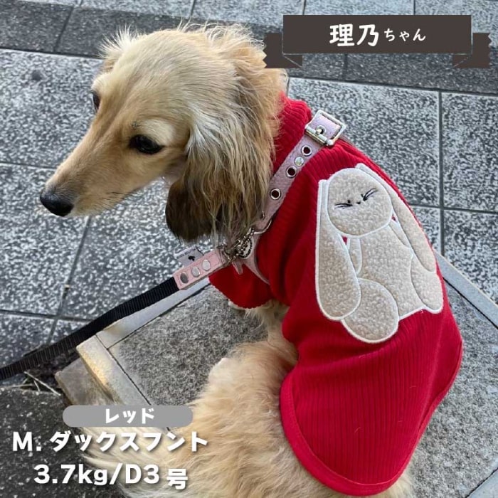 ワッペンTシャツ 小型犬・ダックス用 - VERY-PET