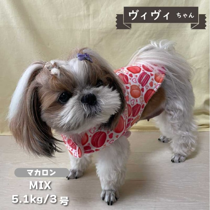 裏ボアコート 小型犬・ダックス用 - VERY-PET